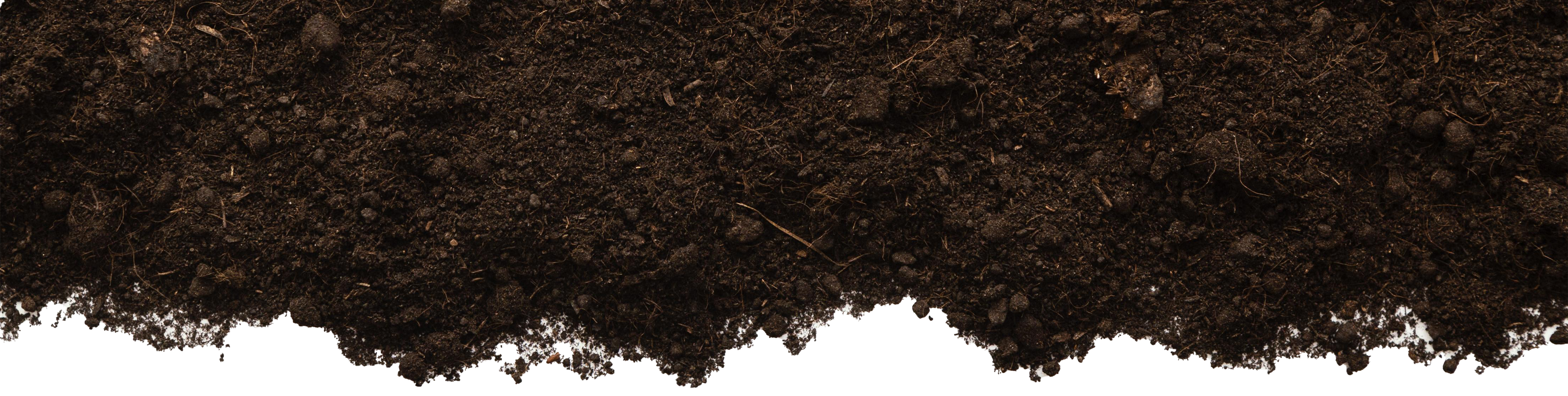 soil layer protruding from the top of the page