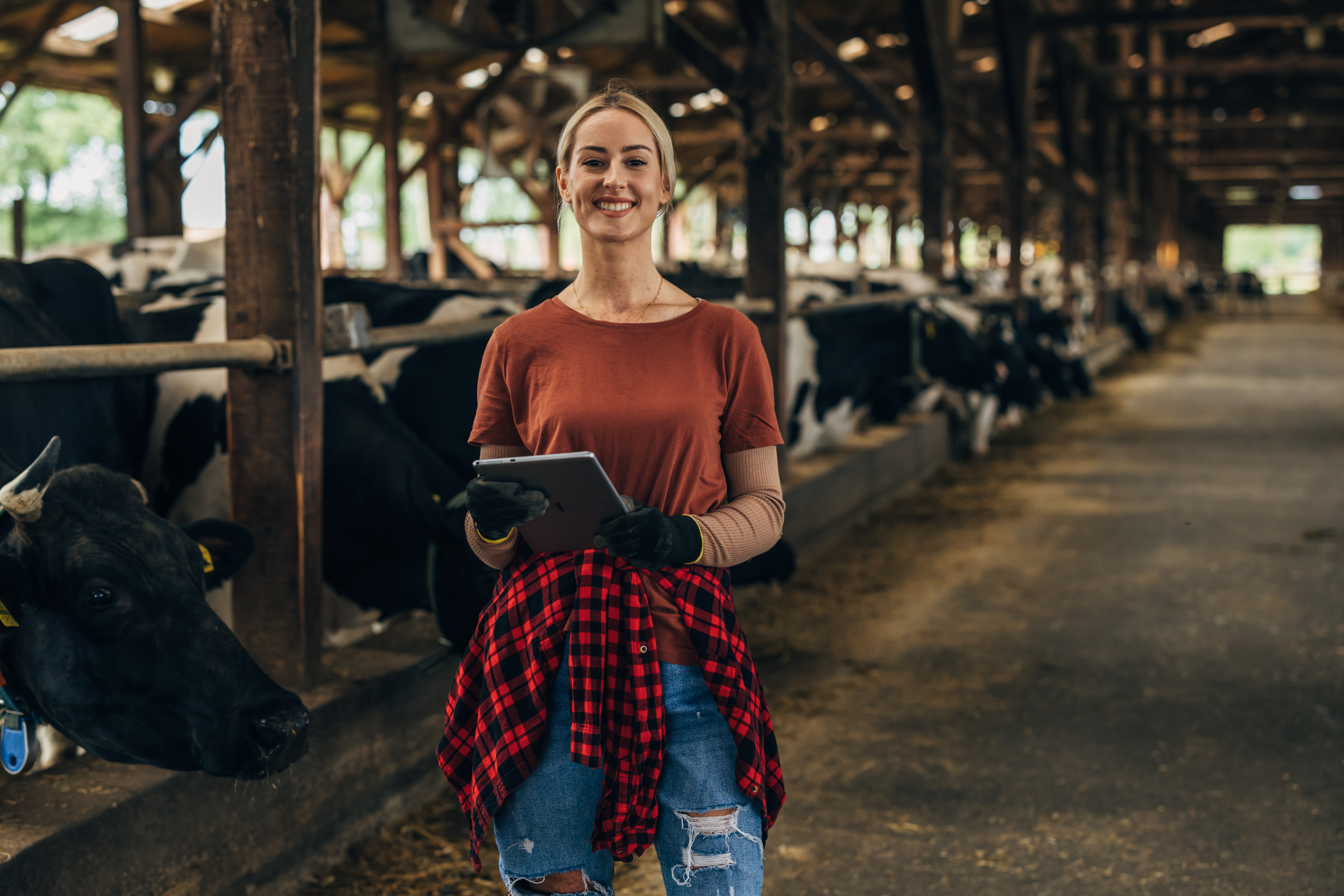 light skinned woman with flannel and tablet in a livestock barn
